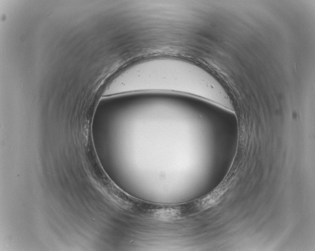 X0000060810168200511101045