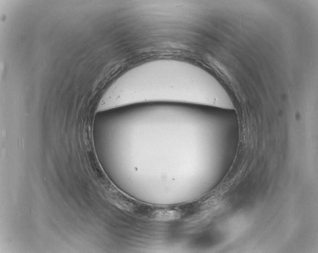 X0000060810169200511101045