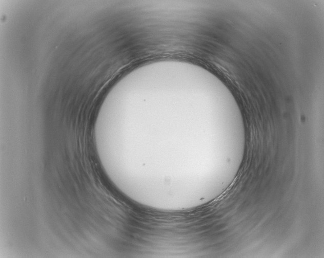 X0000060810172200511101045