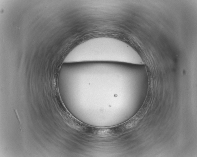 X0000060810173200511101045