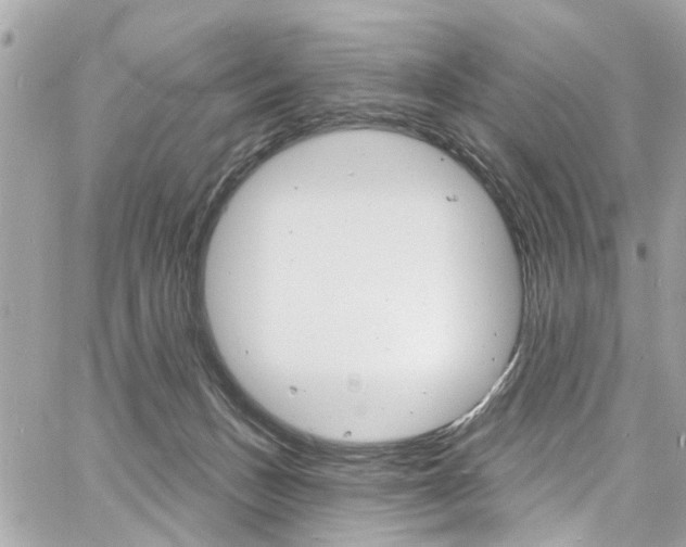 X0000060810175200511101045