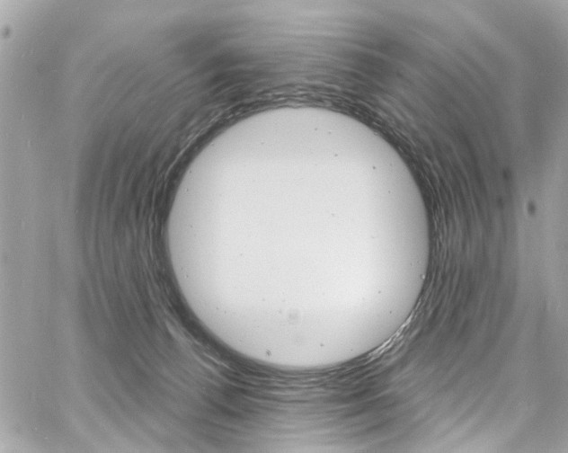 X0000060810176200511101045