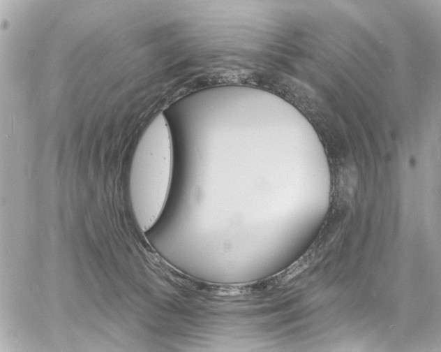 X0000060810177200511101045