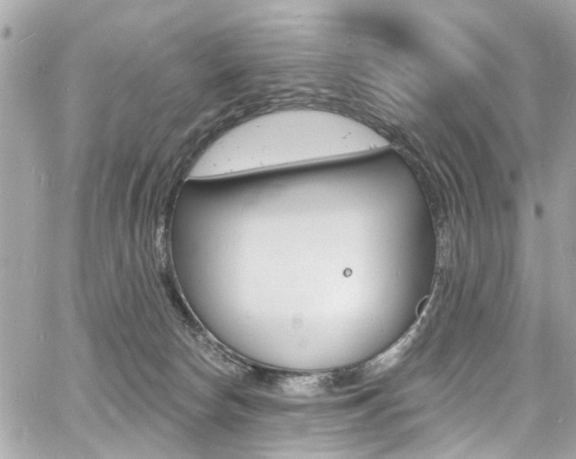 X0000060810178200511101045