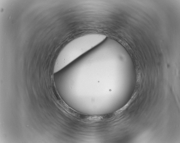 X0000060810179200511101045