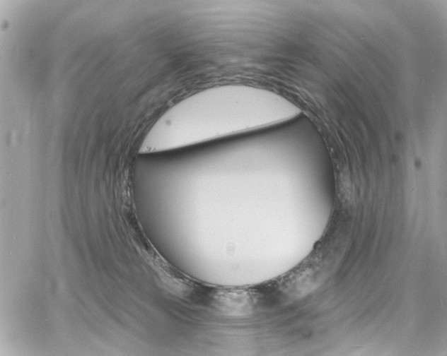 X0000060810181200511101045