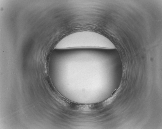 X0000060810182200511101045