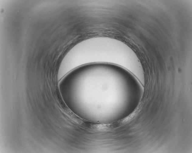 X0000060810184200511101045