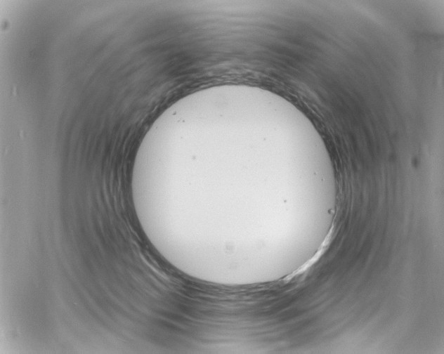 X0000060810186200511101045