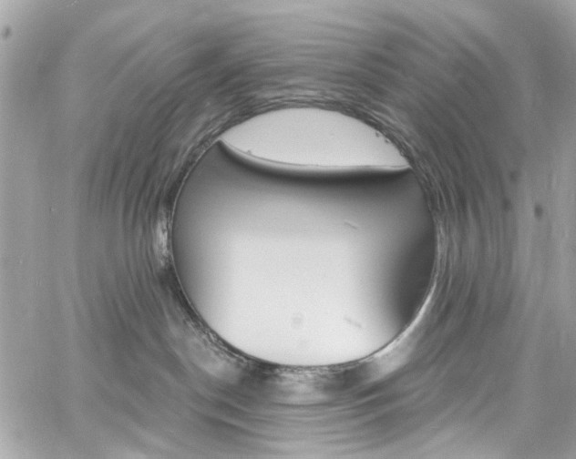 X0000060810190200511101045