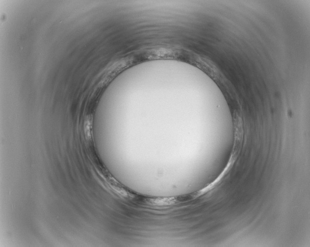 X0000060810191200511101045