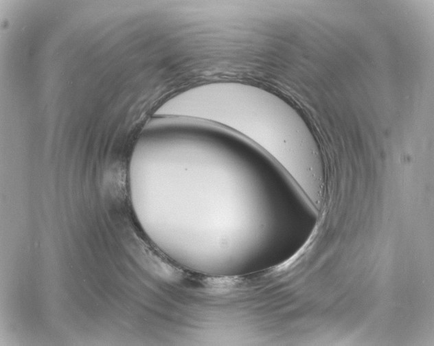 X0000060810192200511101045