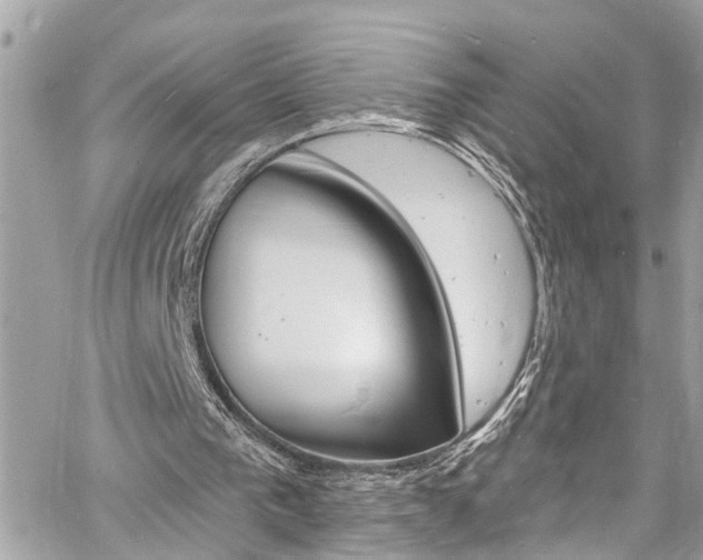 X0000060810193200511101045