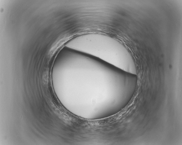 X0000060810194200511101045