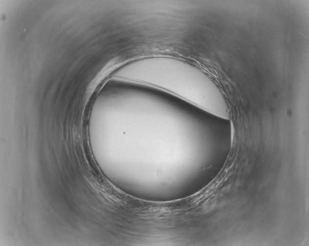 X0000060810195200511101045