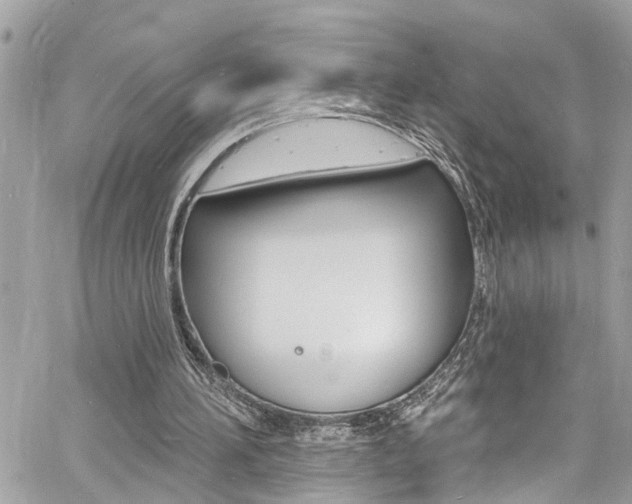 X0000060810196200511101045