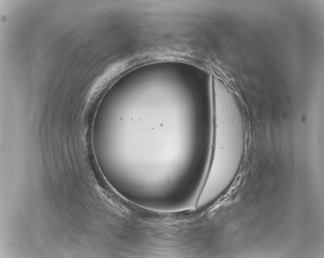 X0000060810197200511101045