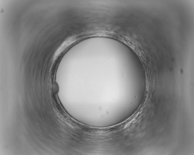 X0000060810198200511101045