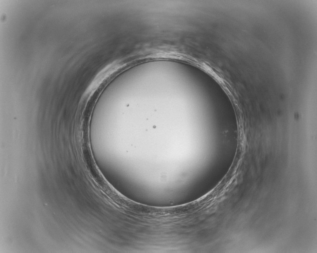 X0000060810199200511101045