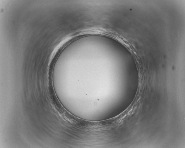 X0000060810200200511101045