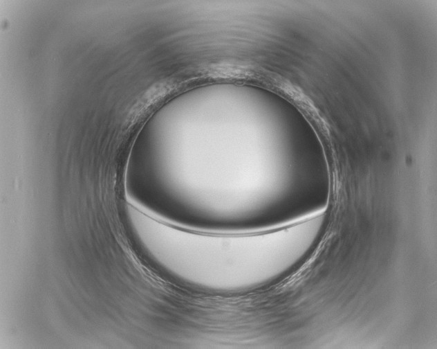 X0000060810201200511101045