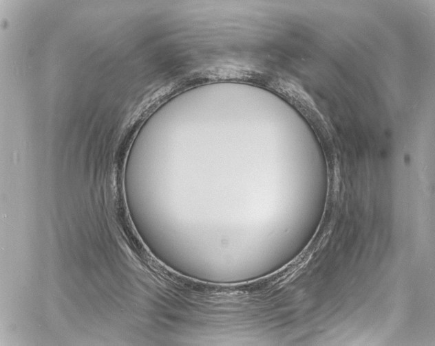 X0000060810202200511101045