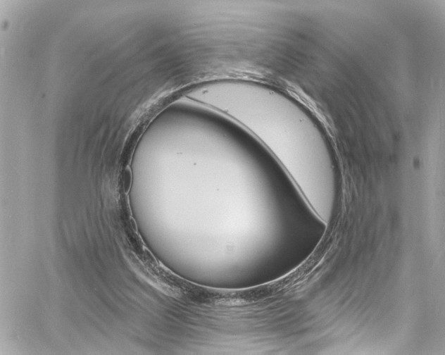 X0000060810203200511101045