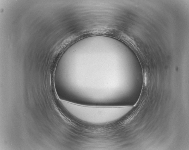 X0000060810205200511101044