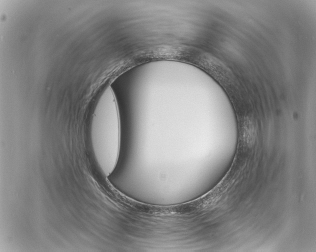 X0000060810206200511101044