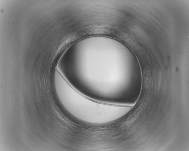 X0000060810207200511101044