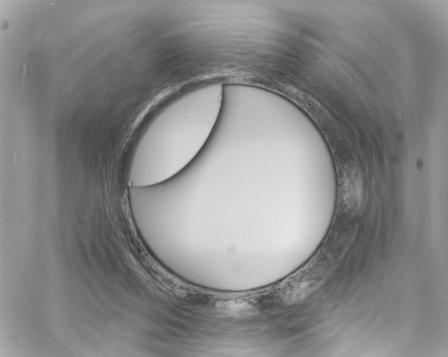 X0000060810208200511101044