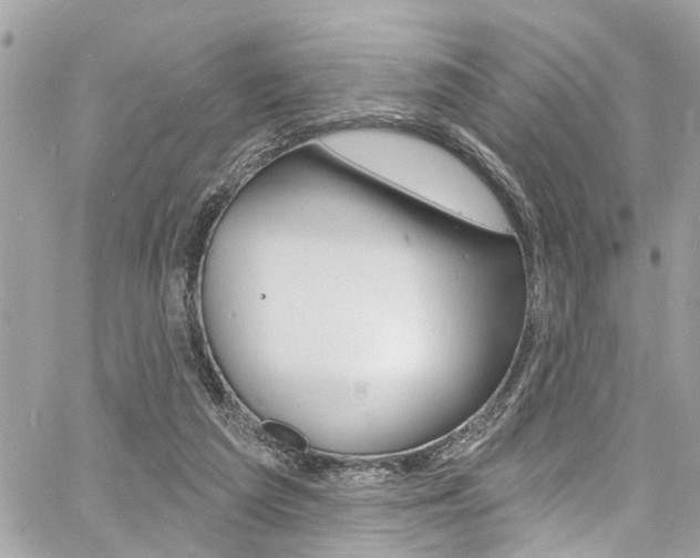 X0000060810209200511101044