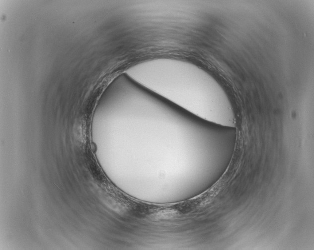 X0000060810210200511101044