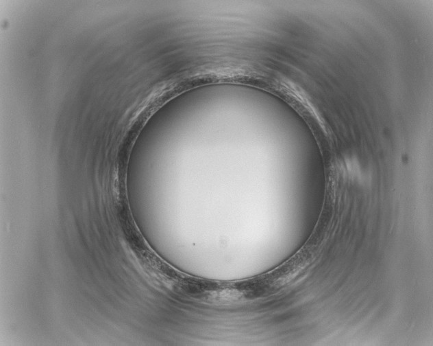 X0000060810212200511101044