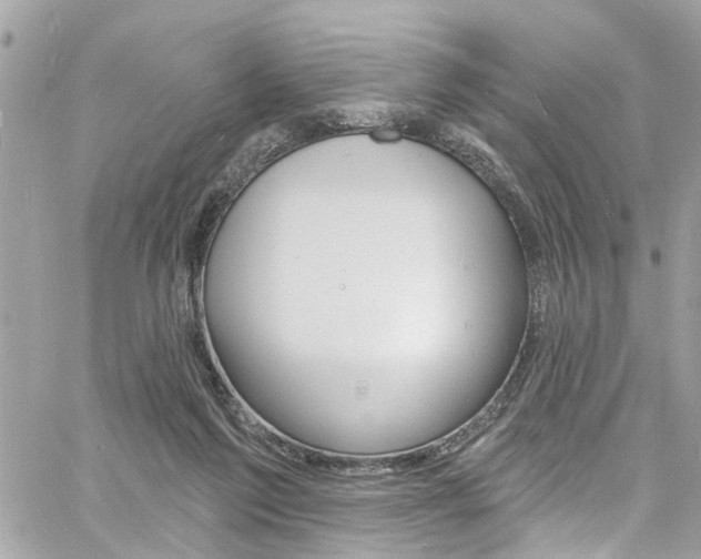 X0000060810213200511101044