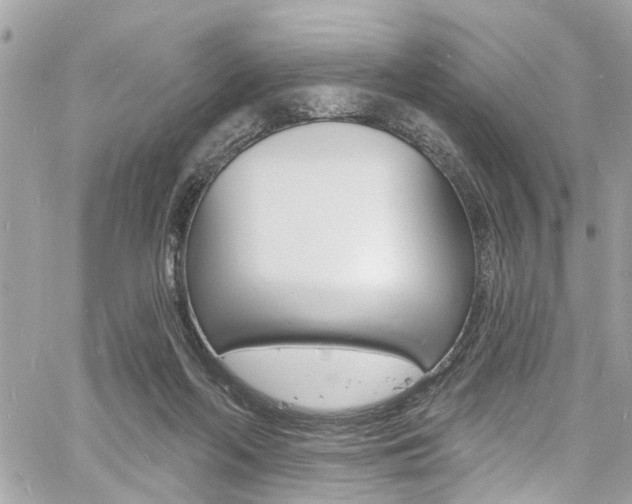 X0000060810214200511101044