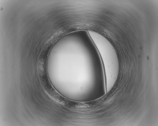 X0000060810215200511101044