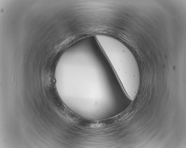 X0000060810216200511101044