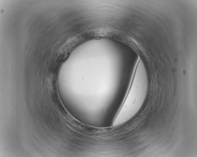 X0000060810217200511101044