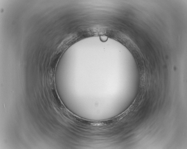 X0000060810218200511101044