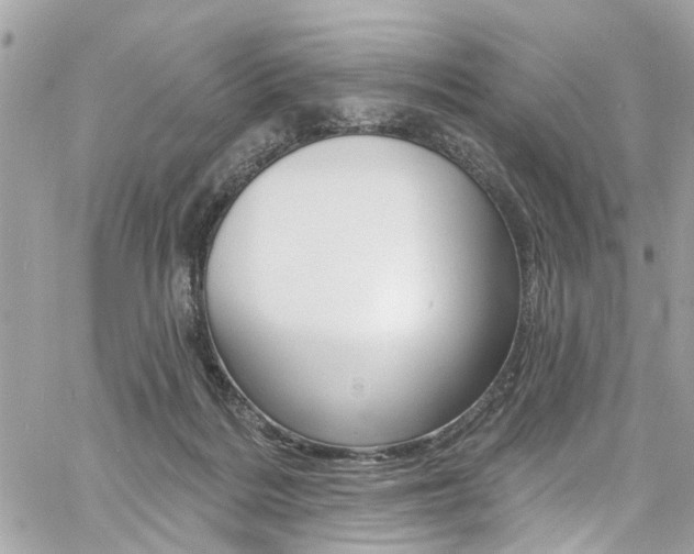 X0000060810220200511101044