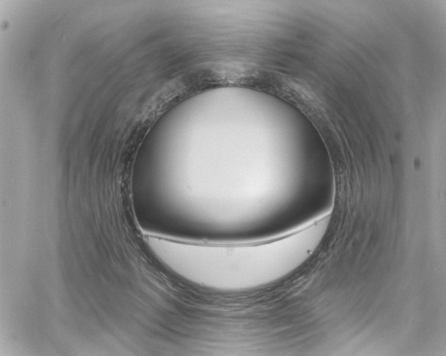 X0000060810221200511101044