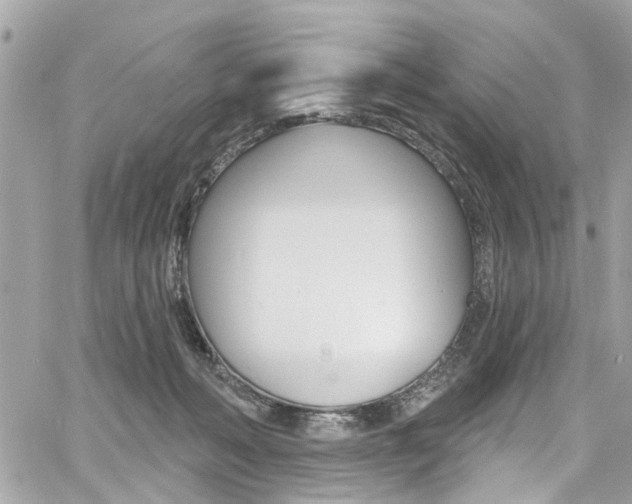 X0000060810222200511101044