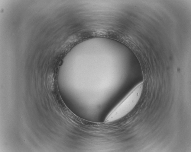 X0000060810223200511101044