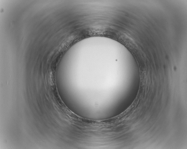 X0000060810224200511101044