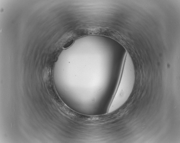 X0000060810225200511101044