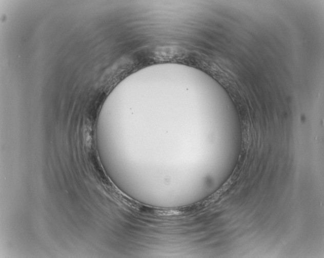 X0000060810226200511101044