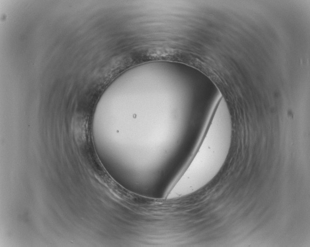 X0000060810227200511101044