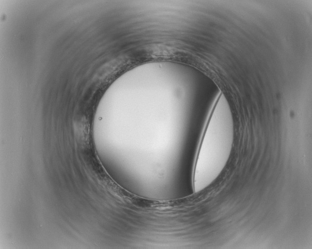 X0000060810228200511101044