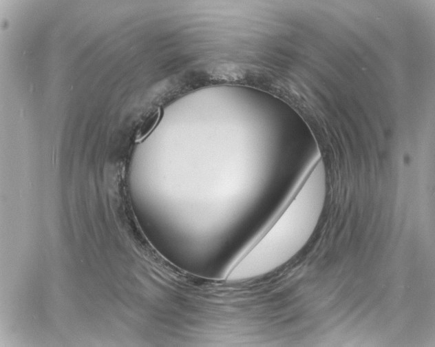 X0000060810229200511101044